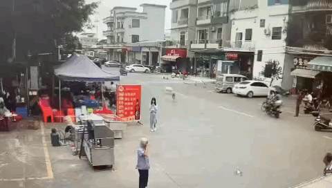 未成年人不得独自遛狗!佛山一老人被狗绳拽倒重摔后身亡