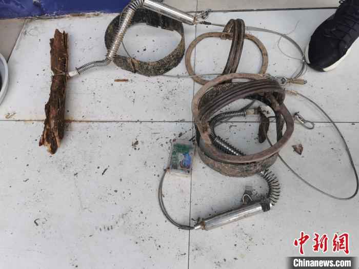 查获的作案工具。平阳公安供图 温州破获非法猎杀国家保护动物案 查获动物尸体61份